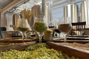 Bariloche: Øloplevelse 'Oplev verden af håndbrygget øl'