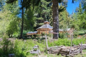 De Bariloche: Barco até Ilha Victoria e Bosque Arrayanes