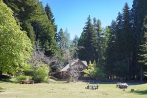 De Bariloche: Barco até Ilha Victoria e Bosque Arrayanes