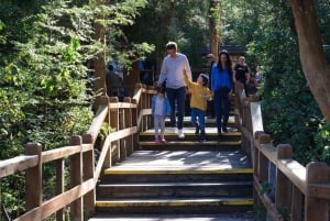 De Bariloche: Barco até Ilha Victoria e Bosque Arrayanes