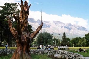 Bariloche: Wycieczka do Bolson i Lago Puelo