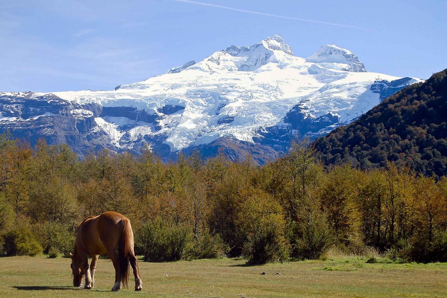 Bariloche: Turer till Cerro Tronador och Ventisquero Negro-glaciären