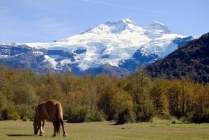 Bariloche: Cerro Tronador i wycieczka na lodowiec Ventisquero Negro