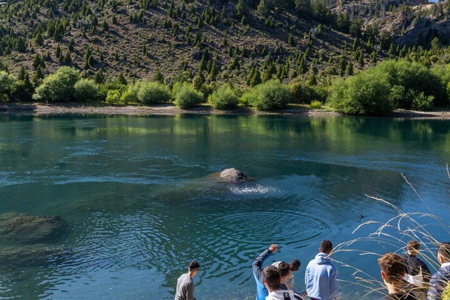 Bariloche: Circuito-Grande-Tour mit Hotelabholung