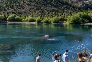Bariloche: Circuito-Grande-Tour mit Hotelabholung
