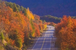 Bariloche: Circuito-Grande-Tour mit Hotelabholung