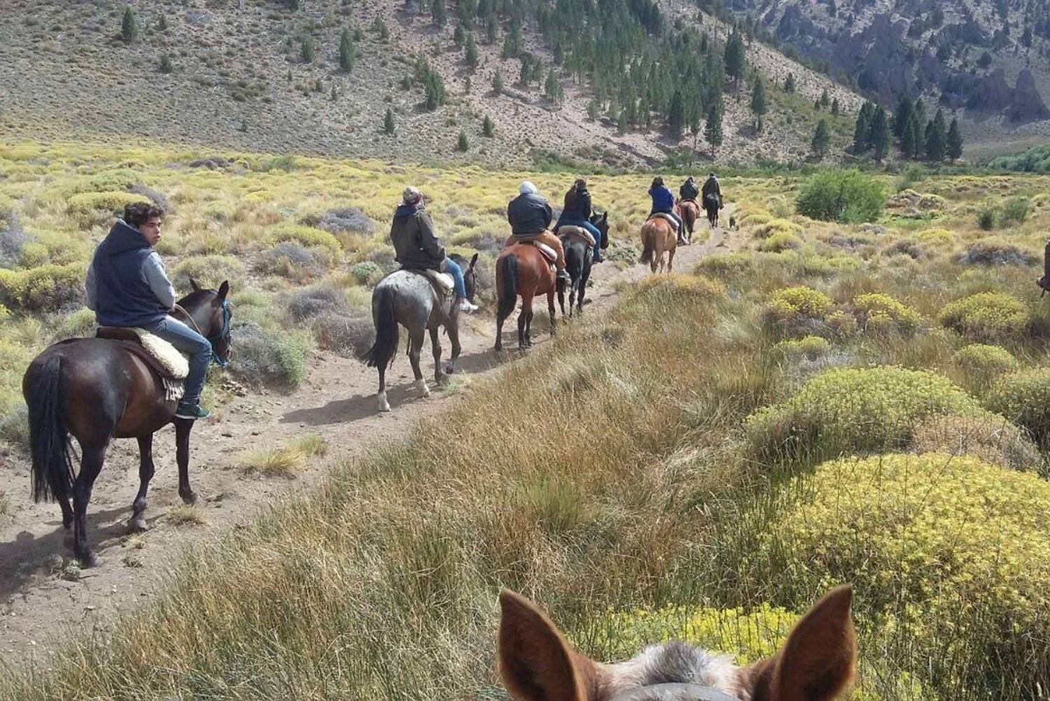 Bariloche: Paardrijden met gids in de Patagonische Steppe