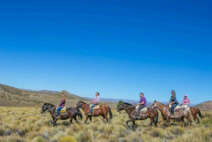 Bariloche: Guided horseback rides in the Patagonian steppe