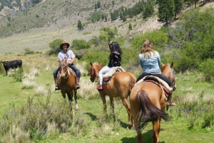 Bariloche: Guided horseback rides in the Patagonian steppe