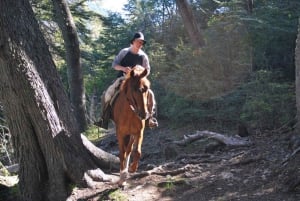 Bariloche: Guided horseback riding in Lago Gutiérrez with lunch
