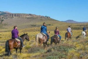 Bariloche: Ridning på hästryggen 'La Fragua'.