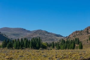 Bariloche: Ridning på hesteryggen 'La Fragua'.