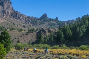 Bariloche: Paardrijden 'La Fragua'.