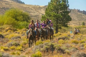 Bariloche : Randonnée à cheval 'La Fragua'.