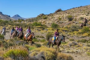 Bariloche: Ridning på hesteryg 'La Fragua'.