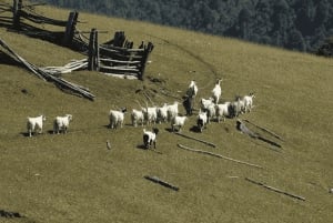 Bariloche: Manso-joen koskenlaskuseikkailu rajalle