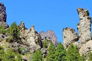 Bariloche: Tour Privado Valle Encantado con Almuerzo