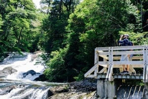 Bariloche: Puerto Blest e Cachoeira Los Cantaros