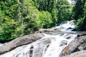 Bariloche: Puerto Blest e Cachoeira Los Cantaros