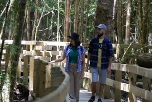 Bariloche: Puerto Blest e Cachoeira Los Cantaros