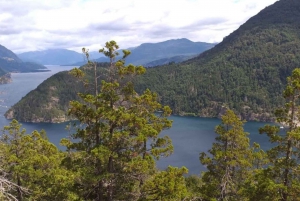 Bariloche: San Martín de los Andes por la Ruta de los 7 Lagos