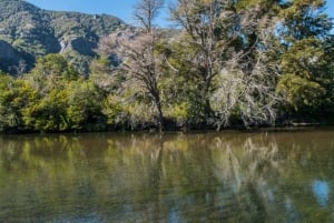 Bariloche: San Martín de los Andes e l'itinerario dei sette laghi