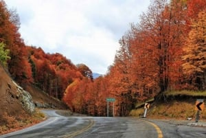 Bariloche: San Martín de los Andes e l'itinerario dei sette laghi