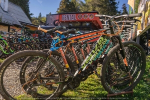 Bariloche: Selvguidet tur på elektrisk sykkel gjennom Circuito Chico