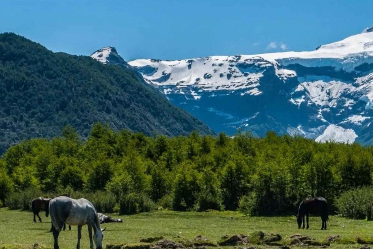 Bariloche: Tour del Cerro Tronador e del Ghiacciaio Ventisquero Negro