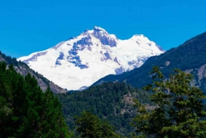 Bariloche: Tour al Cerro Tronador y Glaciar Ventisquero Negro