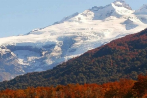 Bariloche: Tour al Cerro Tronador y Glaciar Ventisquero Negro