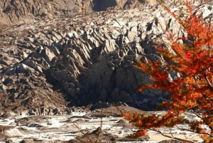 Bariloche: Tour al Cerro Tronador y Glaciar Ventisquero Negro