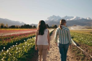 Bariloche: Tulpen und Berge