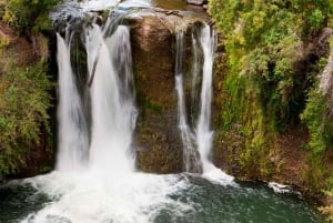 Bariloche: Tulipas e montanhas