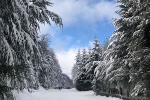 Bariloche Winter Park: Guided snowshoeing in the snow