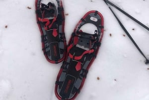 Bariloche Winter Park: Guided snowshoeing in the snow