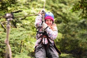 Bariloche : Aventure dans la canopée en tyrolienne avec balade en 4x4