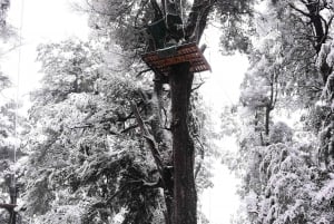 Bariloche: Zip Line Canopy Adventure z przejażdżką 4x4