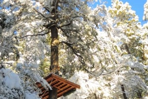 Bariloche : Aventure dans la canopée en tyrolienne avec balade en 4x4