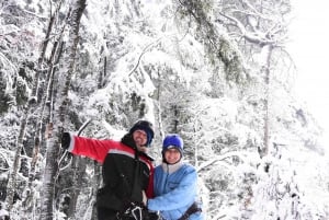 Bariloche: Zip Line Canopy -seikkailu 4x4-ajelun kanssa