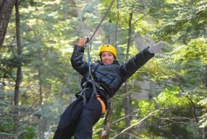 Bariloche : Aventure dans la canopée en tyrolienne avec balade en 4x4