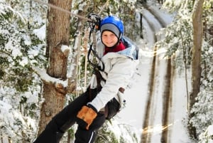 Bariloche: Zip Line Canopy -seikkailu 4x4-ajelun kanssa