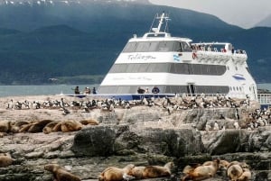 Kanał Beagle i wycieczka katamaranem z lwami morskimi