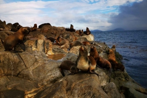 Ushuaia: Navegação pelo Canal de Beagle