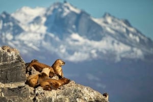Beaglekanaal op een jacht met minitrekking