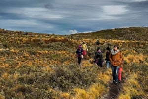 Beaglekanaal op een jacht met minitrekking