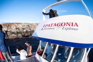 Beaglekanaal op een jacht met minitrekking