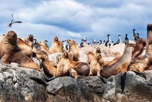 Beaglekanaal op een jacht met minitrekking