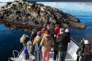 Beaglekanaal op een jacht met minitrekking