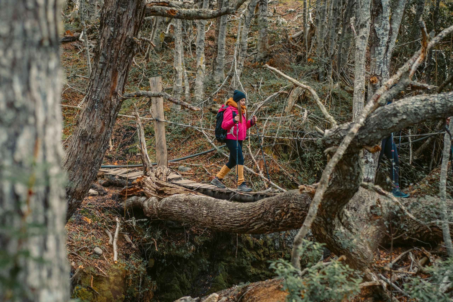 Beagle Flavors Dagtour!